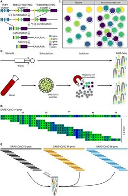 Case report: SARS-CoV-2 specific T-cells are associated with myocarditis after COVID-19 vaccination with mRNA-1273